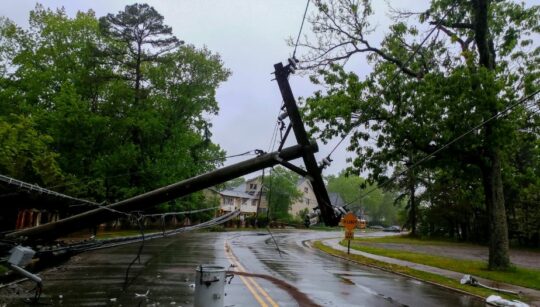 A transformer lies on a electric poles and a tree laying across power lines over a road after Hurricane