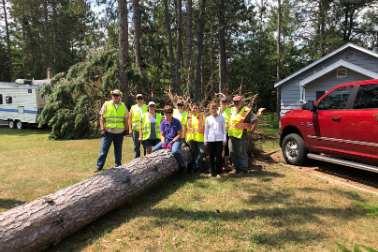 Team chopping down tree