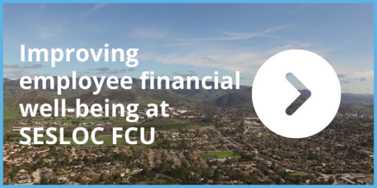 SESLOC-Employee-Financial-Well-being