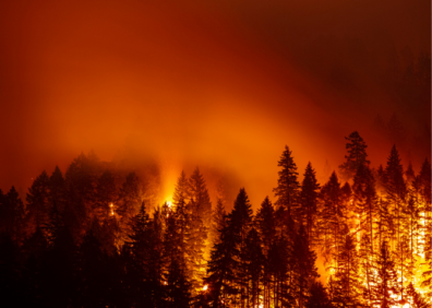 Wildfires